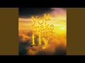 You Make Me Fly