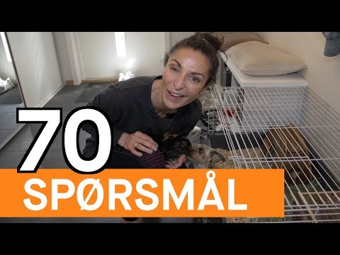 70 spørsmål: Lisa Tønne