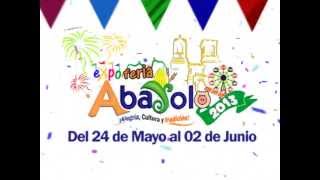 preview picture of video 'Promo Expo Feria Abasolo 2013'