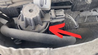 Vapor Canister Purge Solenoid Ford Focus 2.0L 2004-2011 Location and Replacement