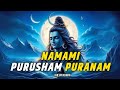 शंभु स्तुति Shambhu Stuti Ketan Kumar Namami Purusham Puranam