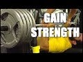 INCREASE YOUR STRENGTH - Lorenzo B - BERZERK KNOWLEDGE