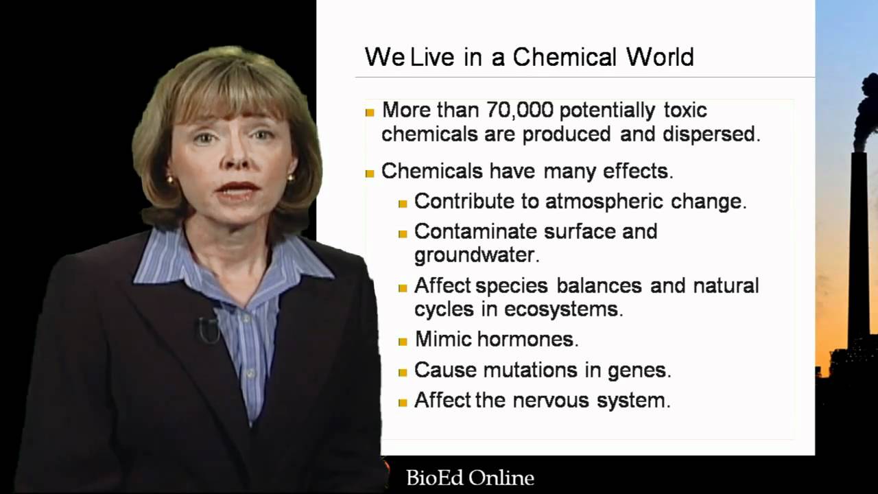 The Environment and Human Health