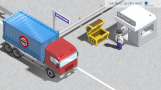 How does Customs work