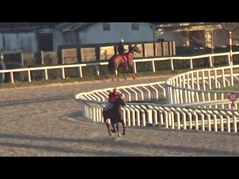 QUEBRANDO TABU-REVISTA INVASOR