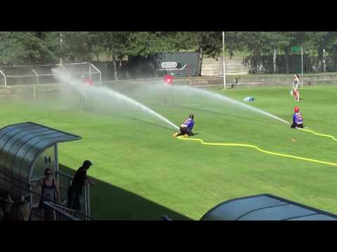 5.7.2016 DHZ Brodské 2.pokus -  Lanžhot