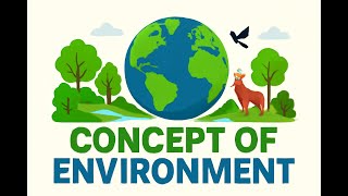 The Environment Explained: Why It Matters to You