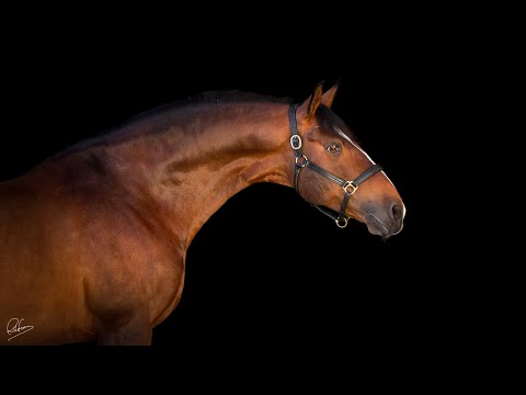 Santurion de Massa & Daniel Pinto - Olympic pair from Portugal