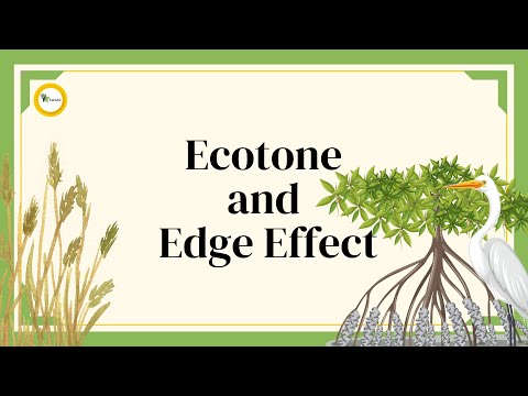 Ecotone and Edge Effect