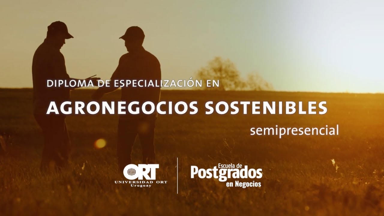Imagen de previsualización de video