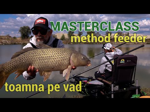 Pescuit pe vad la method feeder