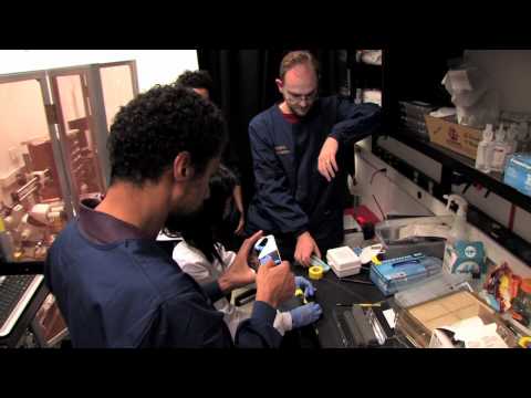 The Optogenetics Innovation Lab: Training on the Frontier