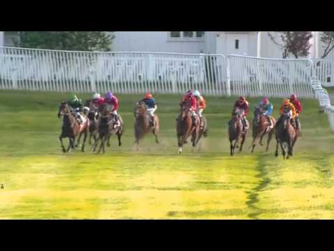 Ragazzo vinner Polar Mile Cup etter protest 08 06 2013