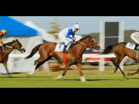 DOUBLEMINT - OKAPI CHAIRMAN'S CUP (Grade 3) Kenilworth