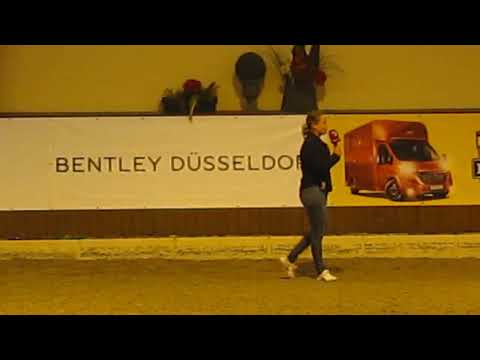 Isabell Werth - Die alten Meister - Start