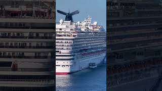 Cruiser’s dream vessel!…😱 #cruiseship #travel #vacation #yt #ytshorts #viral
