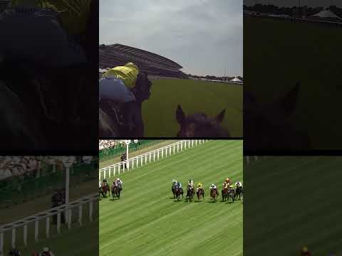 The Jockey Cam angle of AMERICAN AFFAIR's big G1 King Charles III Stakes win at #RoyalAscot... 👀🎥
