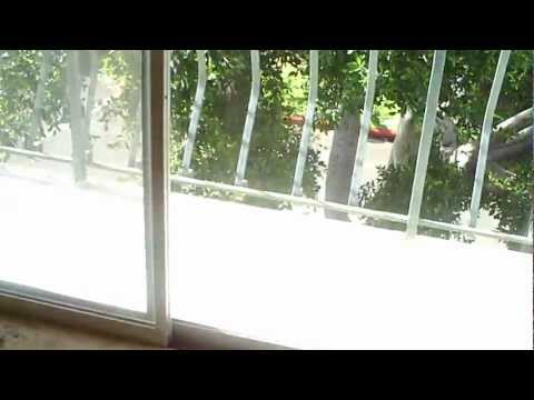 Huge 1 Bed Apartment For Rent In West LA / Palms  - Sepulveda & Palms -  562Rent.com