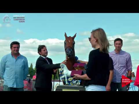 1ST PLACE N.47 PICASSO DI MAR - Chantilly 2017 European B'C - Yearling Colts Champ. (Class 13)