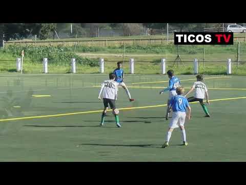 Tico#7