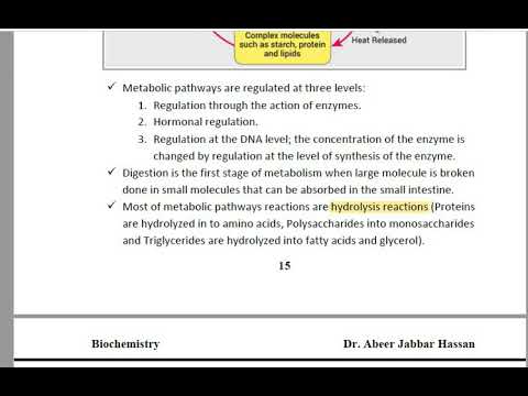 Metabolism of Carbohydrate L- 4