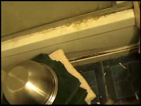 Might as well give up on cleaning