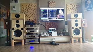 you raise me up  sarah alainn