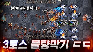 " 파벳 벙커 미쳤다! " 와.... 3토스 물량을 시원하게 녹여보자🔥 【 스타 빨무 】