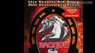 Grupo Bronco Ladrón