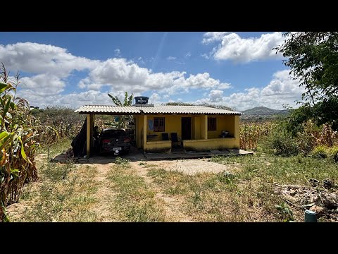 LINDA CHÁCARA 50x60 COM FRUTÍFERAS A VENDA