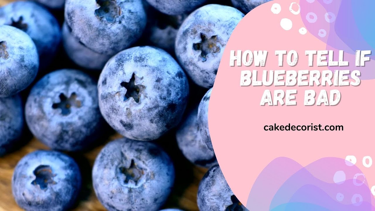 How do you know if a blueberry is bad? Life Set Go