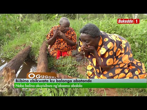 Agataliikonfuufu: biibino ebikwata ku Balongo abatonde nabo balina okuyisibwa ng'abaana abalala