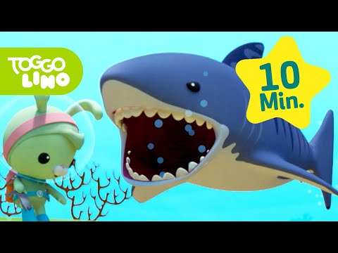Die Oktonauten und der Tigerhai | Ganze Folge Deutsch | Toggolino Serien