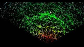 Unveiling the Grandeur: Exploring the Great Wall of the Sloan Supercluster