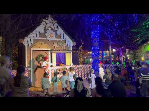 Christmas Lights & Fireworks at Stone Mountain/ Amazing Christmas Show