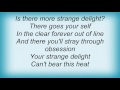 Roxy Music - No Strange Delight Lyrics