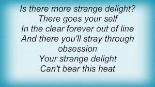 Roxy Music - No Strange Delight Lyrics