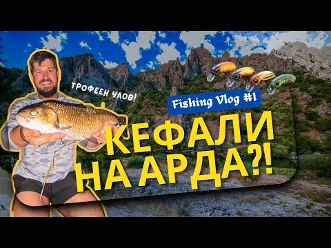 Риболов на кефали по река Арда с новите CC-28 / Chub Fishing on the river Arda with the new CC-28