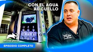 Thumbnail del capítulo