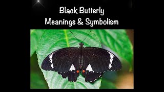 Black Butterfly Meaning and Symbolism