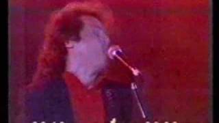 d2 - Jorge Capello/Raúl Porchetto