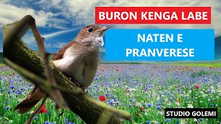 Buron Kënga Labe - Natën E Pranverës