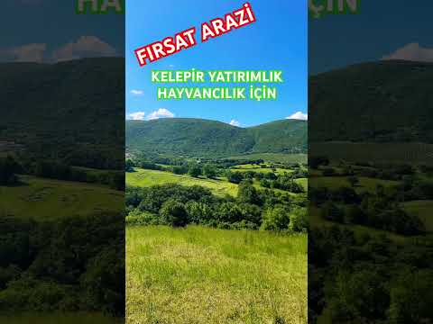 #gönen #doğa #satılık #hayvancılık #kelepir #fırsat
