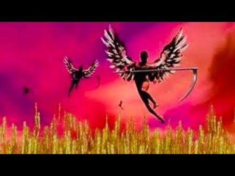 Book of Revelation CH. 14 -  Angels and the Harvest - #144000 (#BibleStudy of Revelation 14)