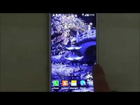 Mystic Sakura Live Wallpaper Video