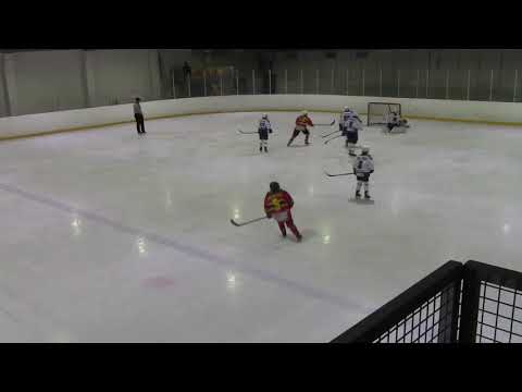 C2 Diskos Keltainen - Kiekko-Karhut