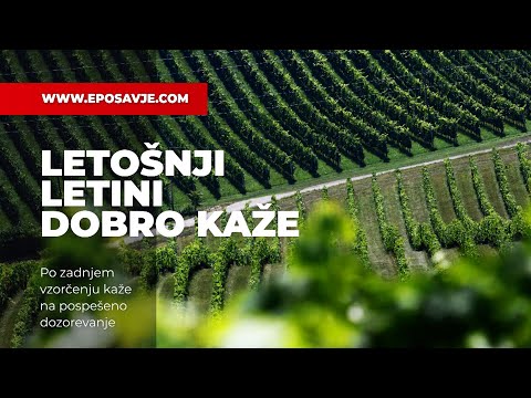 Najbolj brano na ePosavje com - Posavski tednik 479, 14. september 2021