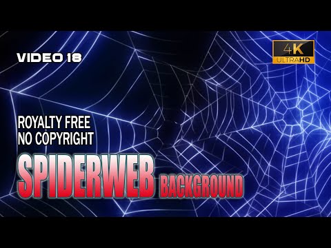 Video no 18. SPIDERWEB VIDEO BACKGROUND NO COPYRIGHT, FREE TO USE. FONDO DE TELARAÑA GRATIS