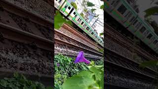 上京したてのひとのそれ