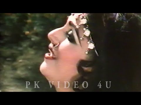 Menu Dak Le Sohnya Main Udd Jana . Noor Jehan . Anjuman . Punjabi Filmi Song